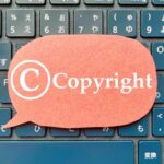 プログラムの著作物に関する著作権