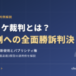 エンリケ裁判とは？元夫側への全面勝訴判決（パブリシティ権）をわかりやすく解説
